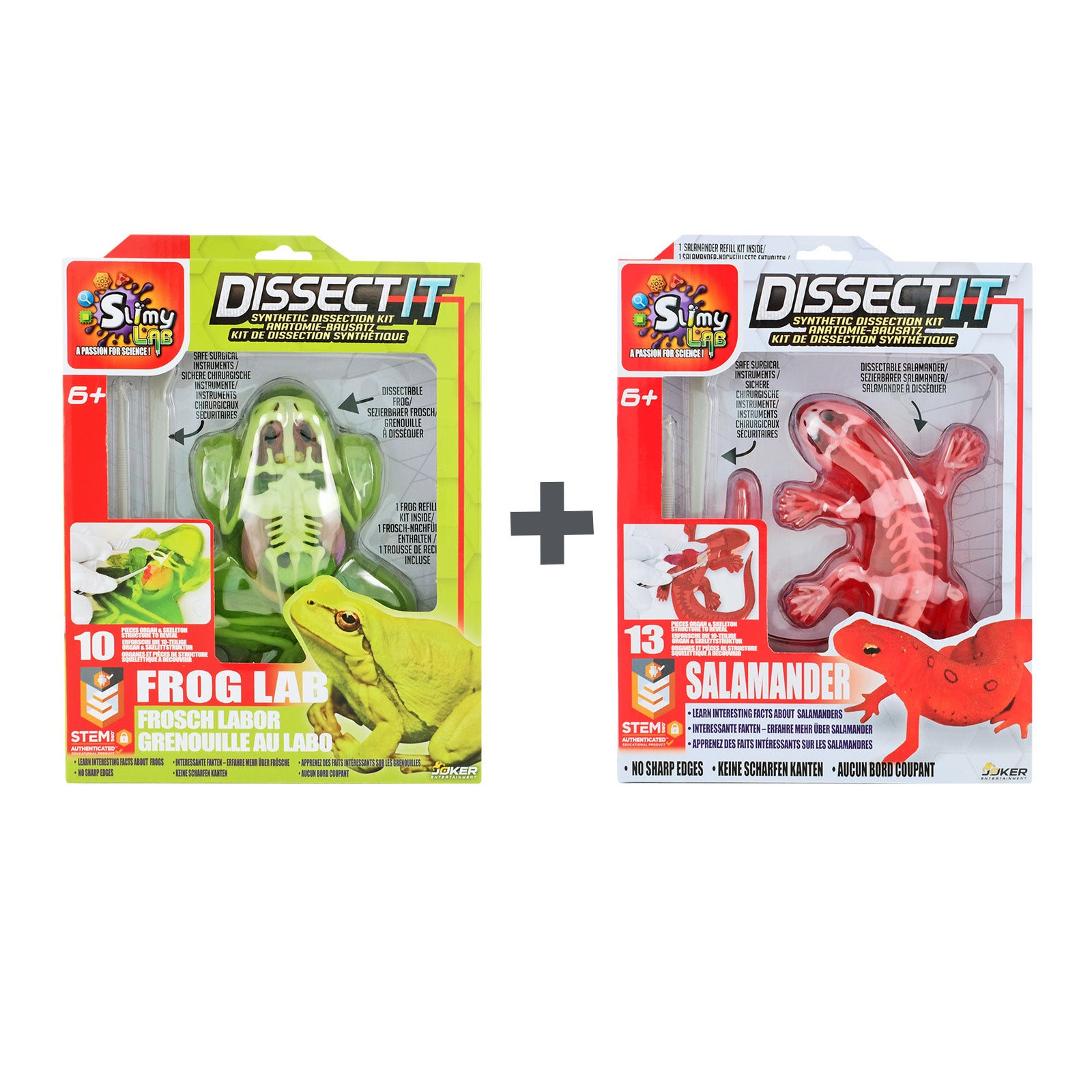 SLIMY Lab Dissect-It Sezier-Set in Box  - Frosch oder Salamander