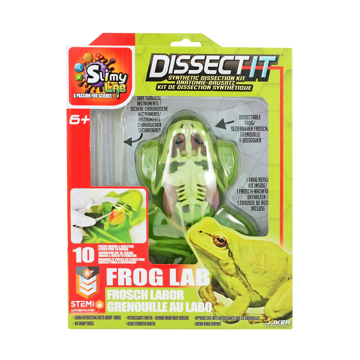 SLIMY Lab Dissect-It Sezier-Set in Box  - Frosch oder Salamander