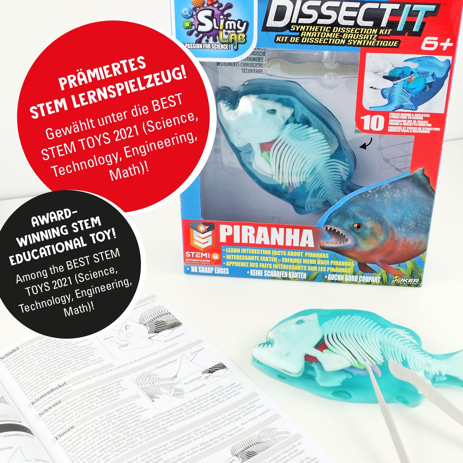 SLIMY Lab Dissect-It Sezier-Set in Box  - Frosch oder Salamander