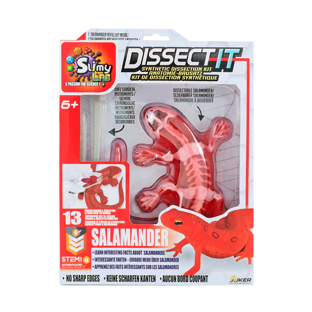SLIMY Lab Dissect-It Sezier-Set in Box  - Frosch oder Salamander