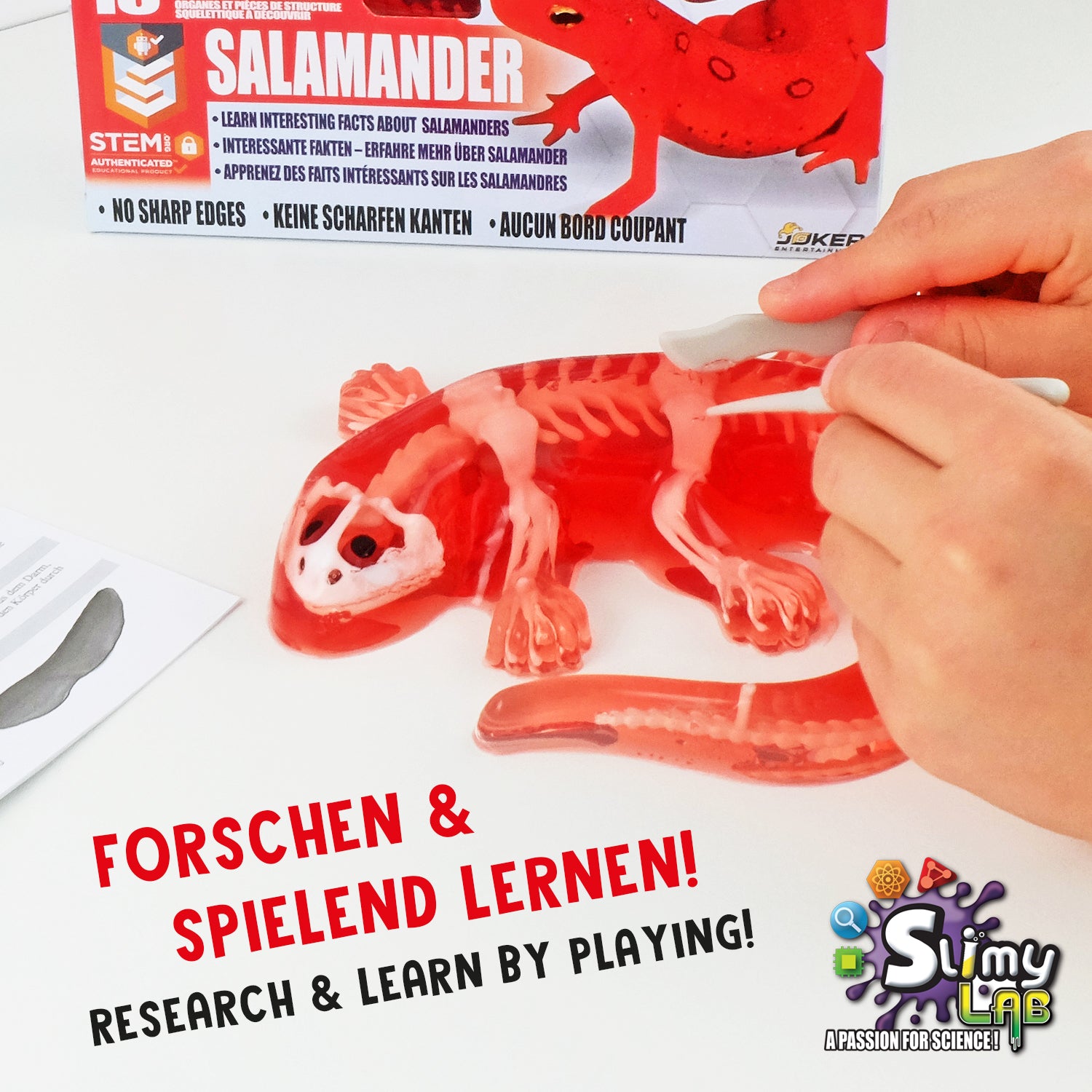 SLIMY Lab Dissect-It Sezier-Set in Box  - Frosch oder Salamander