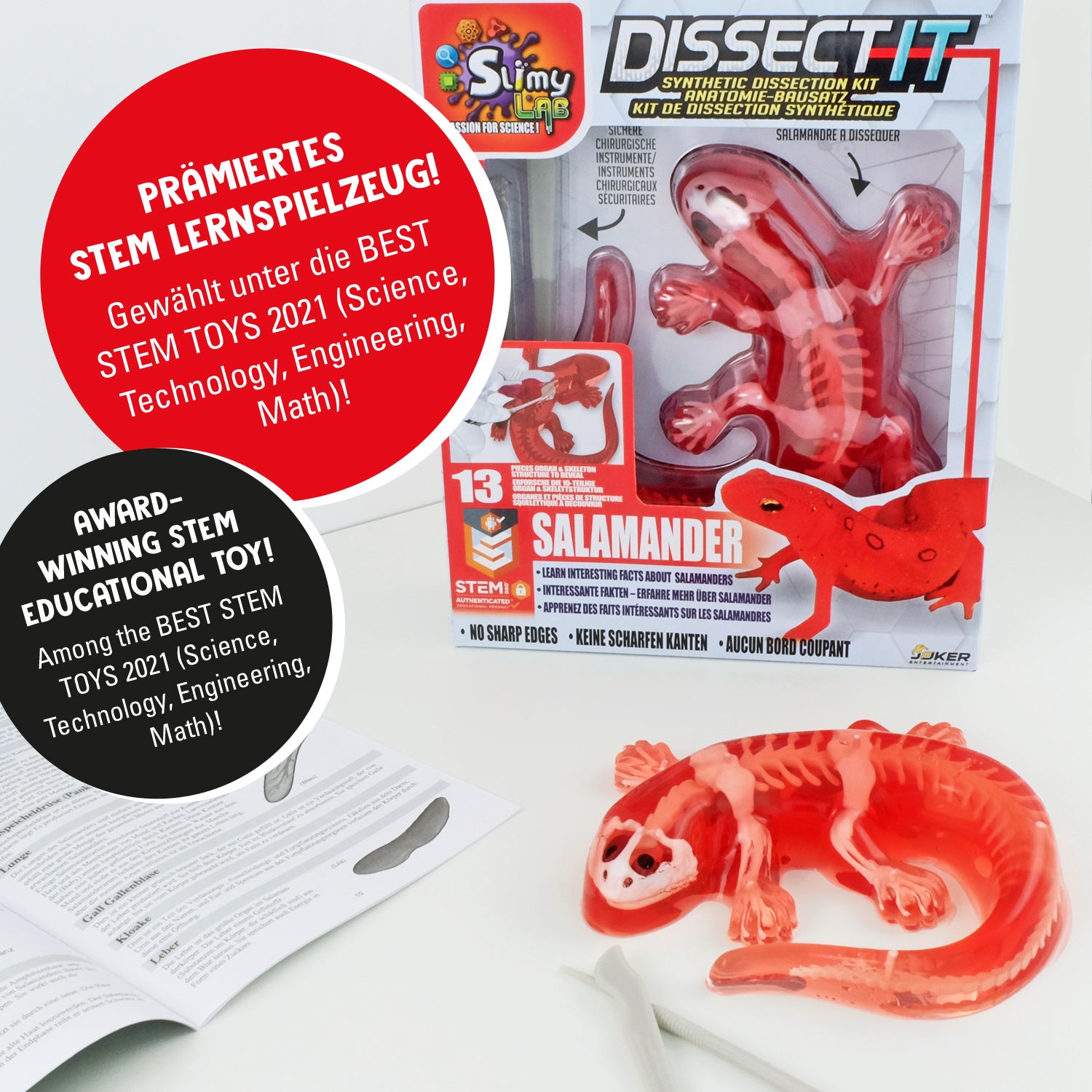 SLIMY Lab Dissect-It Sezier-Set in Box  - Frosch oder Salamander