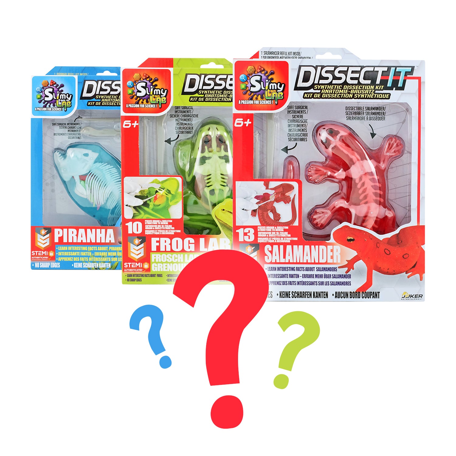 SLIMY Lab Dissect-It Sezier-Set in Box  - Frosch oder Salamander