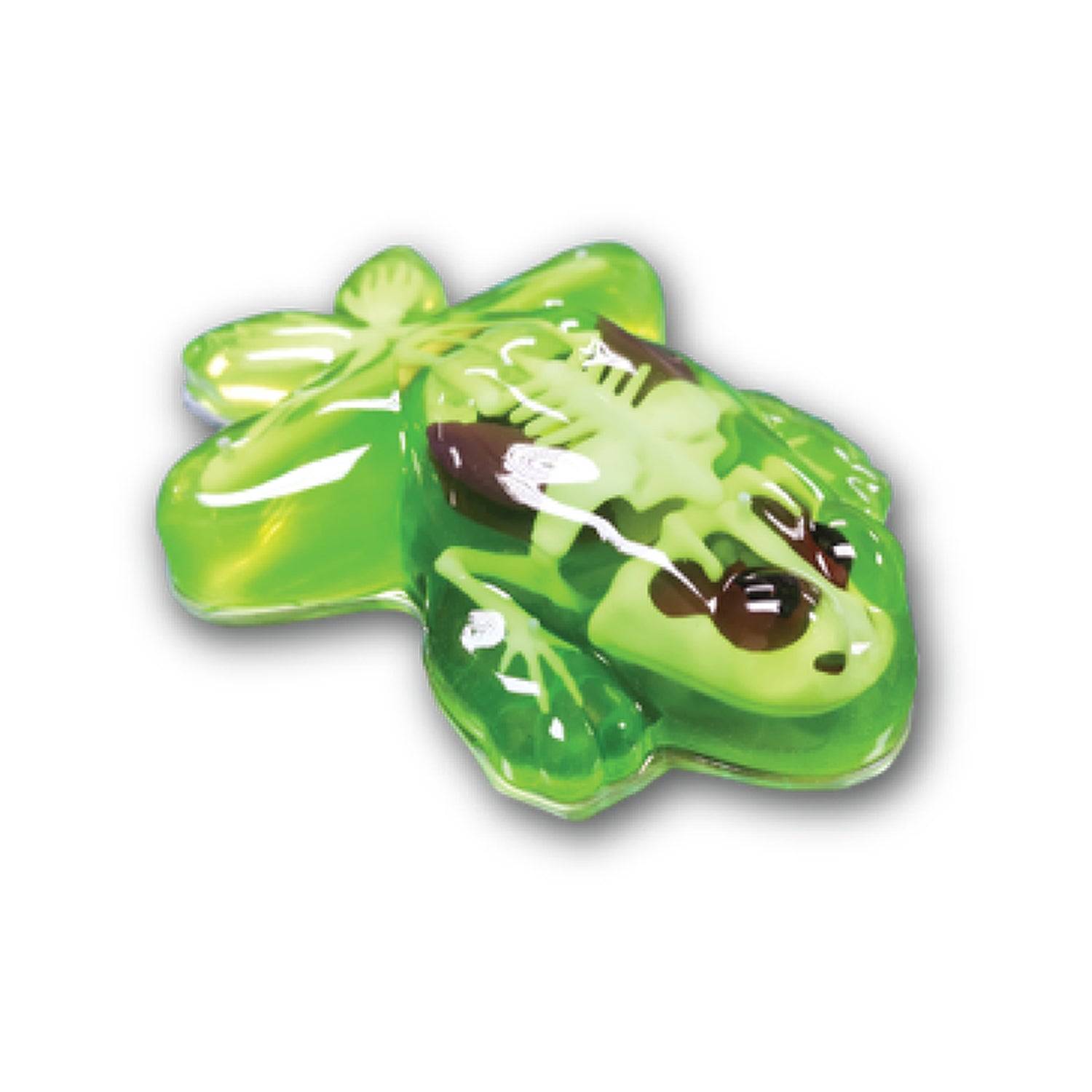 SLIMY Lab Dissect-It Sezier-Set in Box  - Frosch oder Salamander