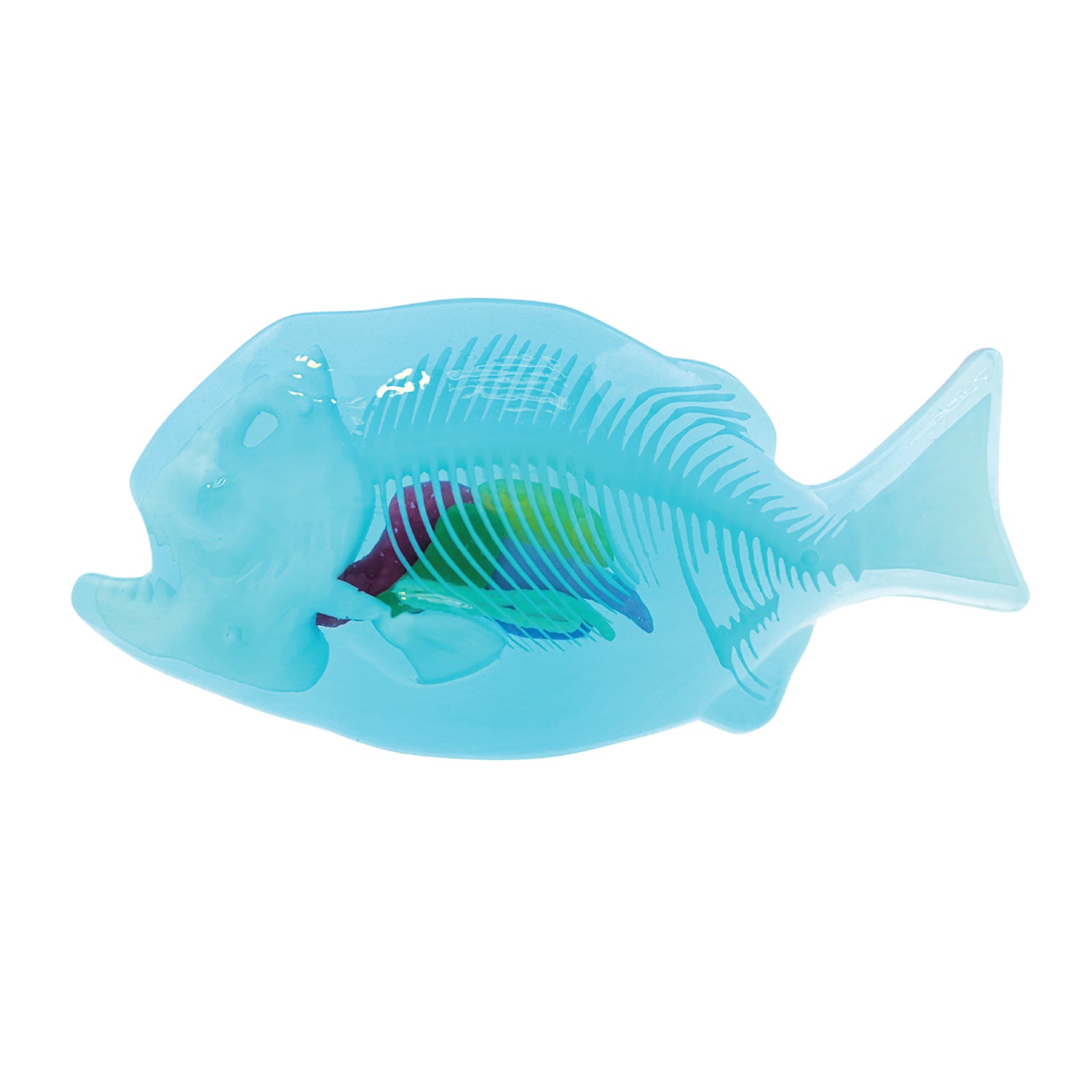 SLIMY Lab Dissect-It Sezier-Set in Box  - Frosch oder Salamander