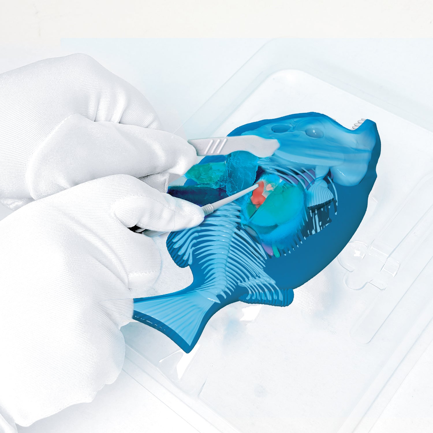 SLIMY Lab Dissect-It Sezier-Set in Box  - Frosch oder Salamander