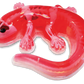 SLIMY Lab Dissect-It Sezier-Set in Box  - Frosch oder Salamander